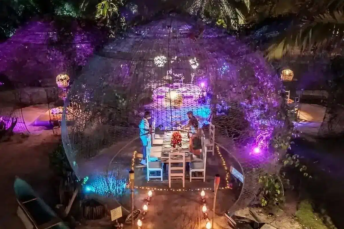 Cena en la Playa en Fénix Beach - Image 11