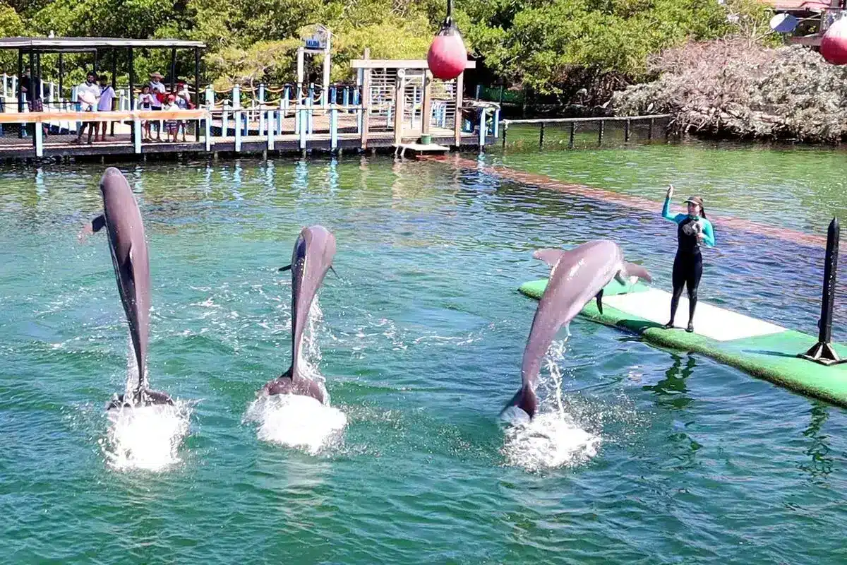 Top Luxury Islas del Rosario - Image 2