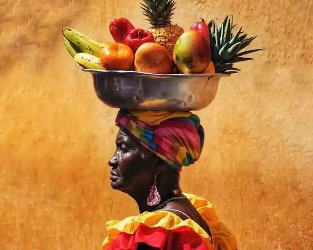 Tour a Palenque - Image 7