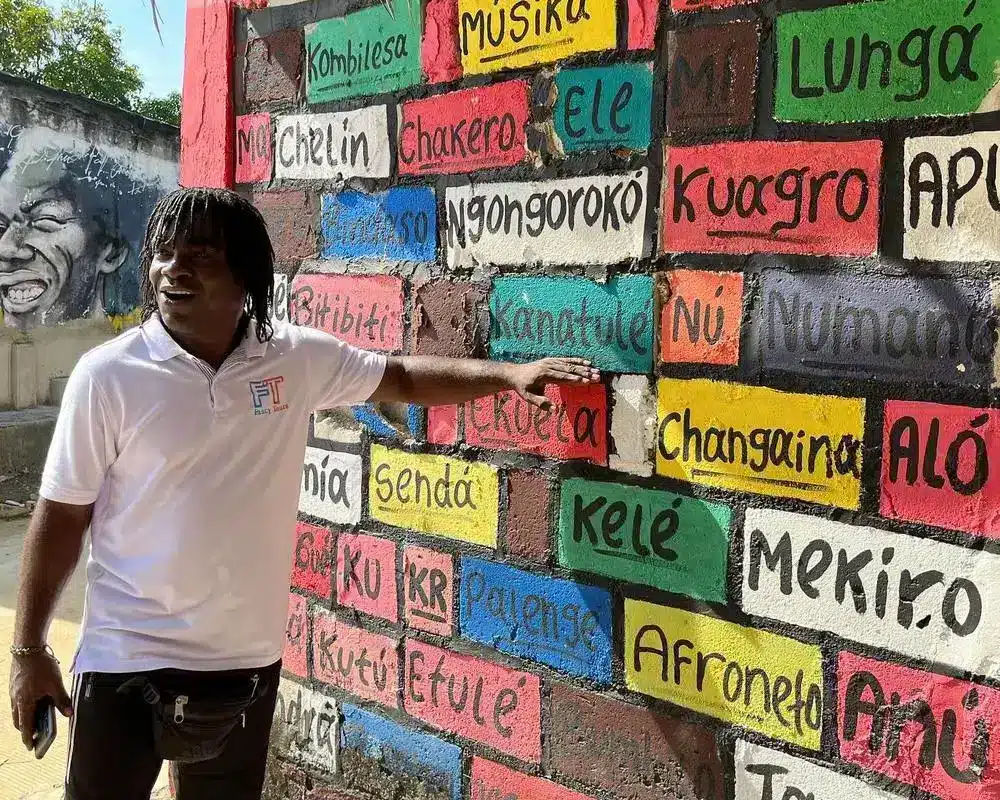 Tour a Palenque - Image 4